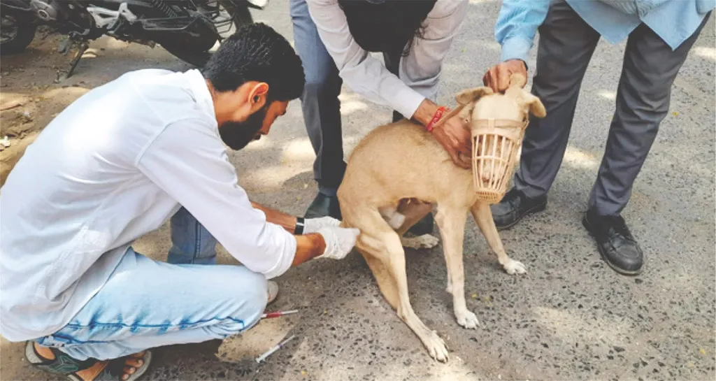 Always Care field work