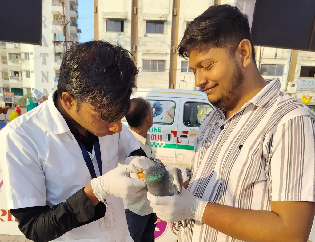 Always Care field work